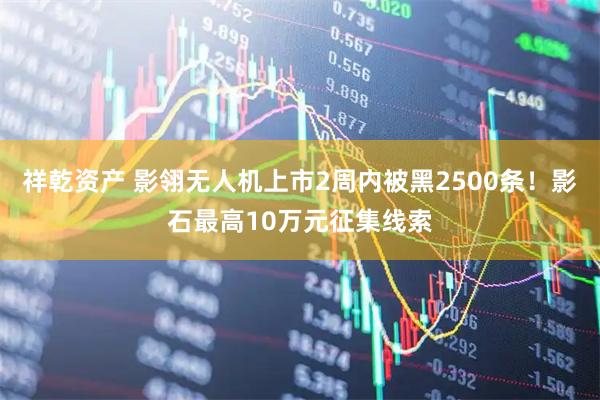 祥乾资产 影翎无人机上市2周内被黑2500条!影石最高10万元征集线索