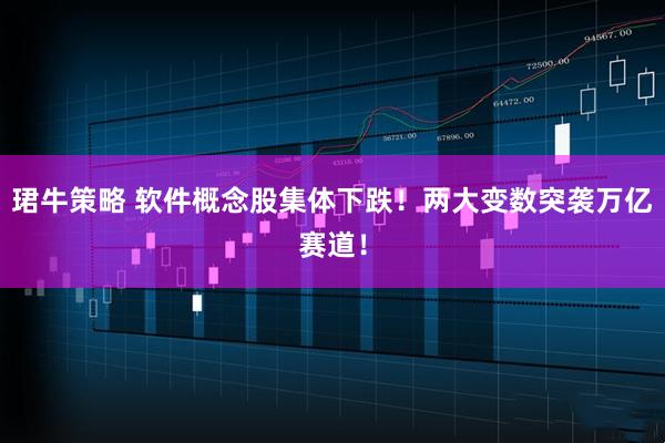 珺牛策略 软件概念股集体下跌！两大变数突袭万亿赛道！