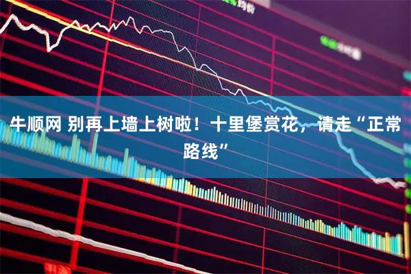 牛顺网 别再上墙上树啦！十里堡赏花，请走“正常路线”